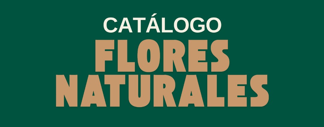 Flores Naturales